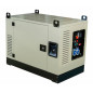 Benzin Stromerzeuger Fogo FV 17001 CRA (Vanguard) Benzin Stromerzeuger Fogo FV 17001 CRA (Vanguard)