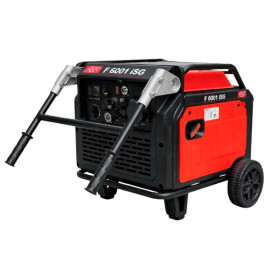 Generador inversor de gas/gasolina Fogo F 6001 ISG (Rato)